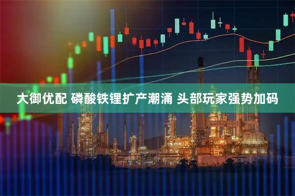 大御优配 磷酸铁锂扩产潮涌 头部玩家强势加码